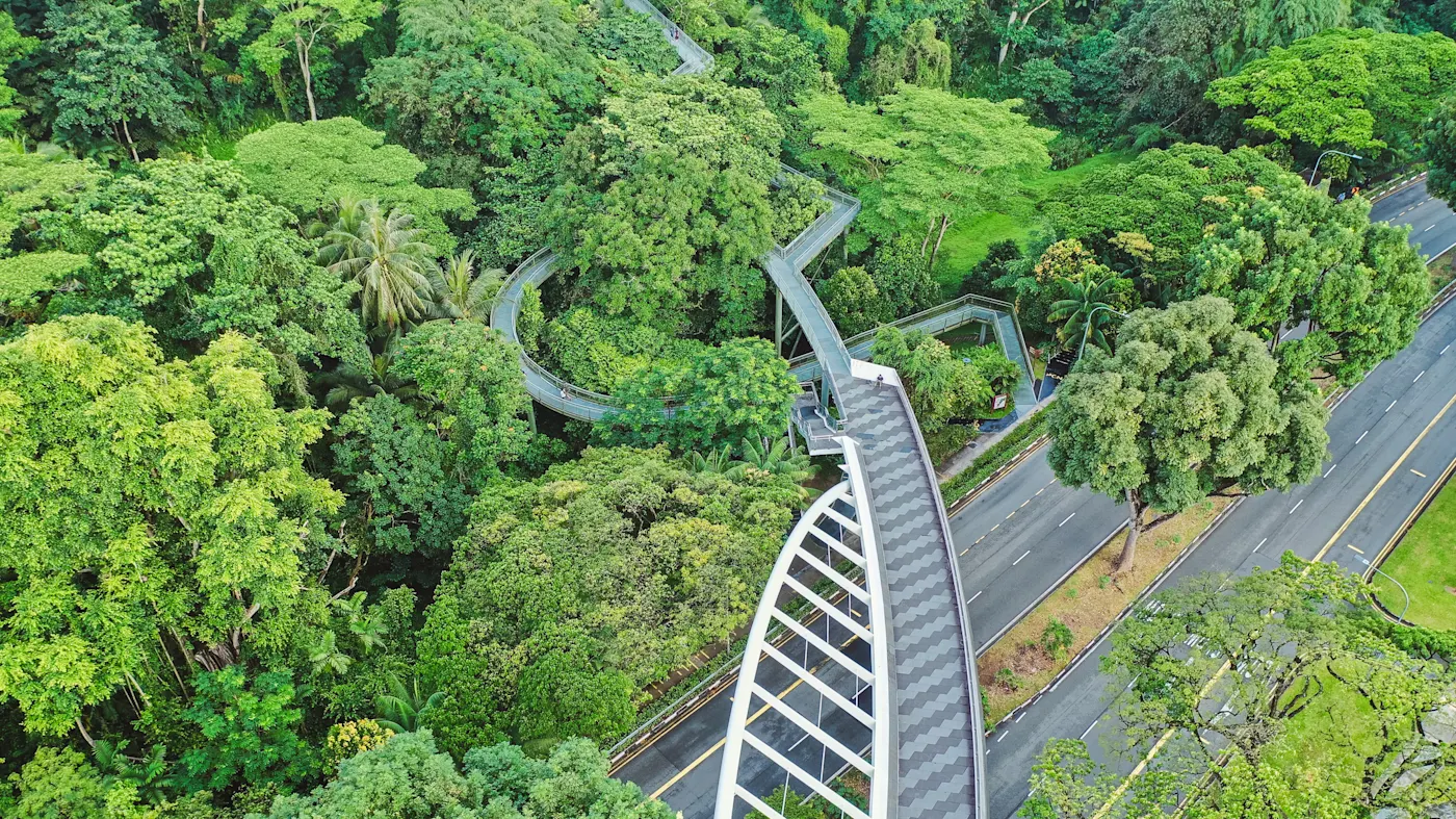 Singapur, Baumwipfelwanderweg Baumwipfelpfad von oben betrachtet durch den tropischen Regenwald in Singapur.