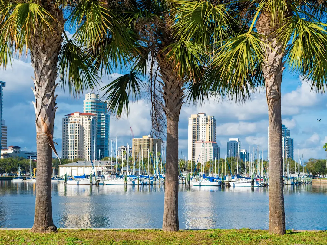 Palmen und Segelboote vor moderner Skyline. St. Petersburg, Florida, USA.
