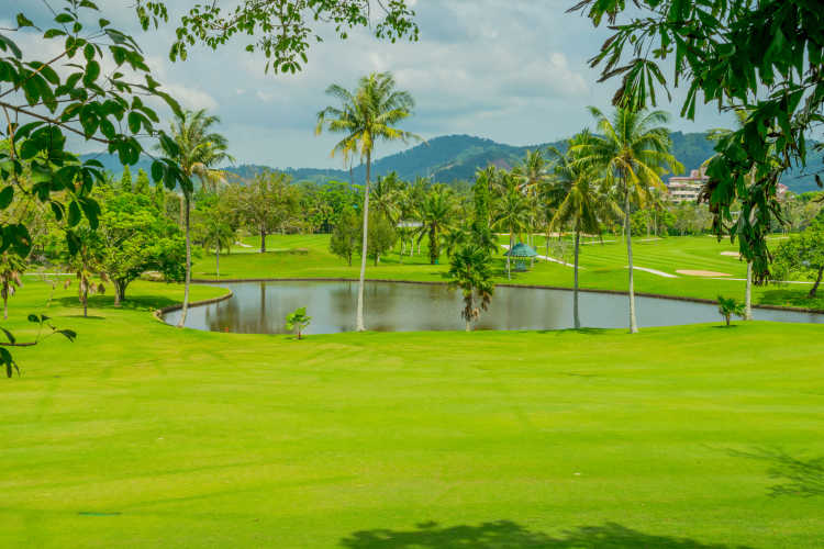 Terrain de golf avec palmiers en Thaïlande