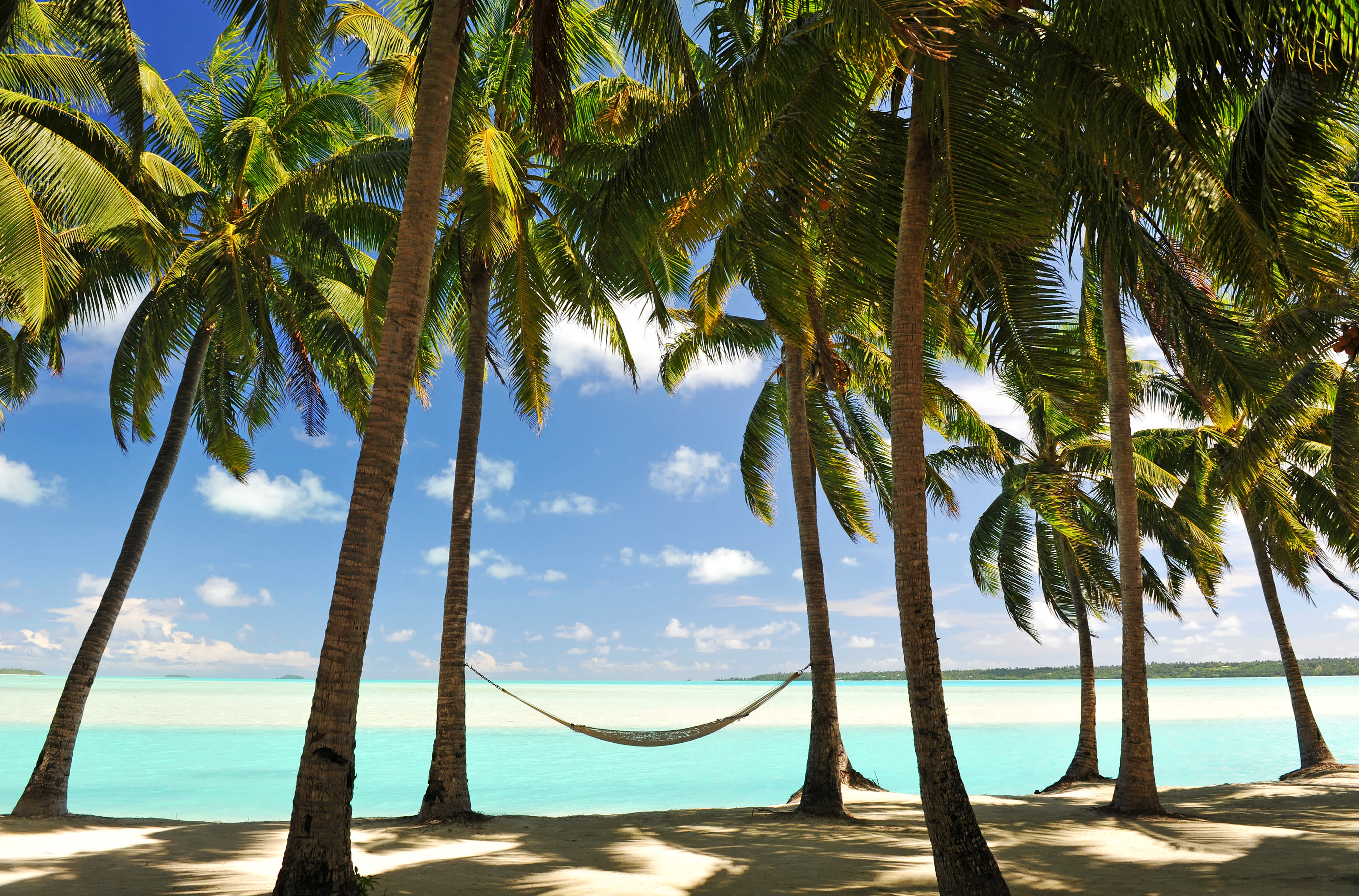 Détendez-vous sur des plages paradisiaques bordées de palmiers pendant votre voyage à l'île Maurice.