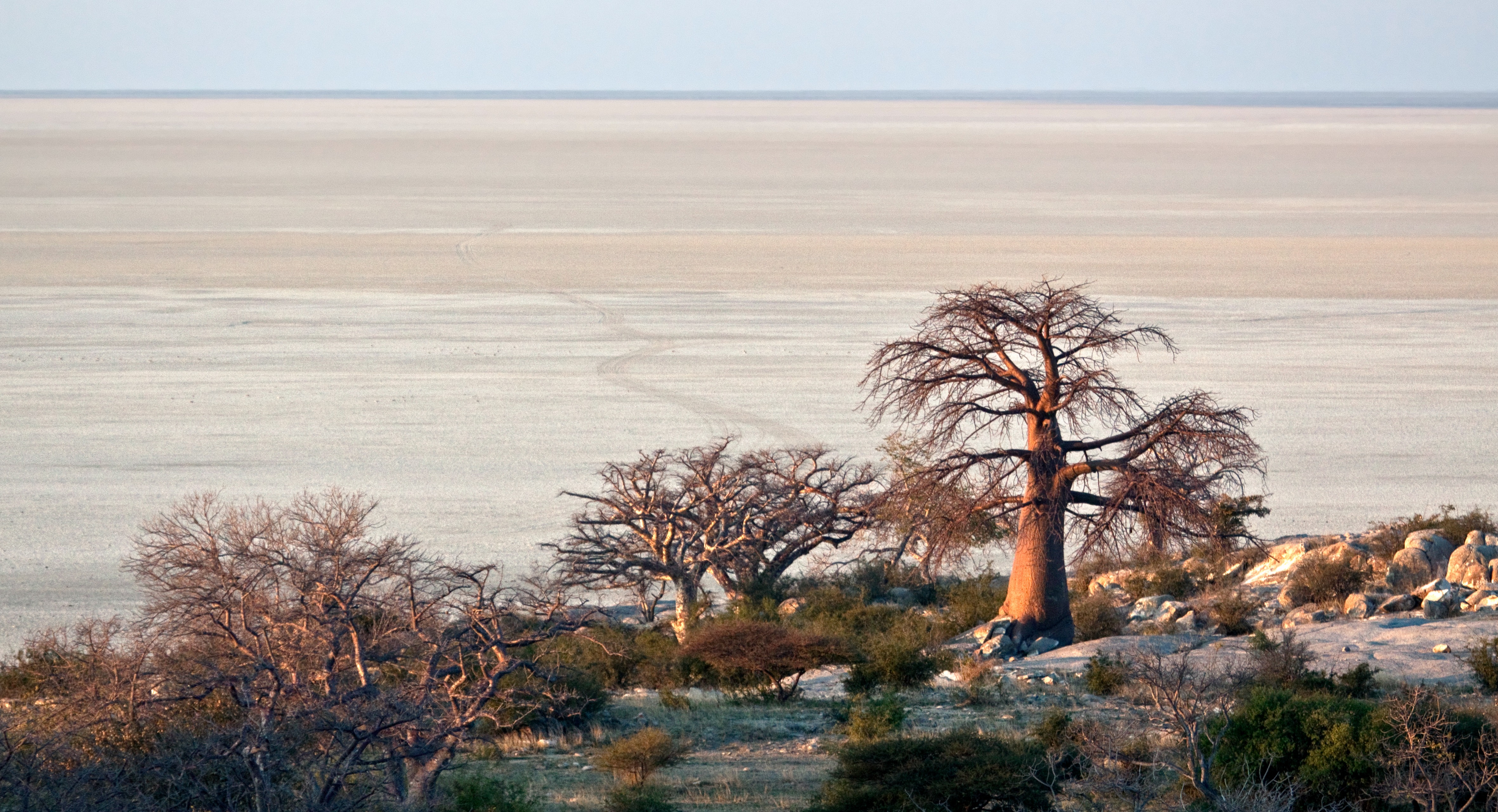 Planen Sie Ihre Individuelle Makgadikgadi Pans Reise | Tourlane