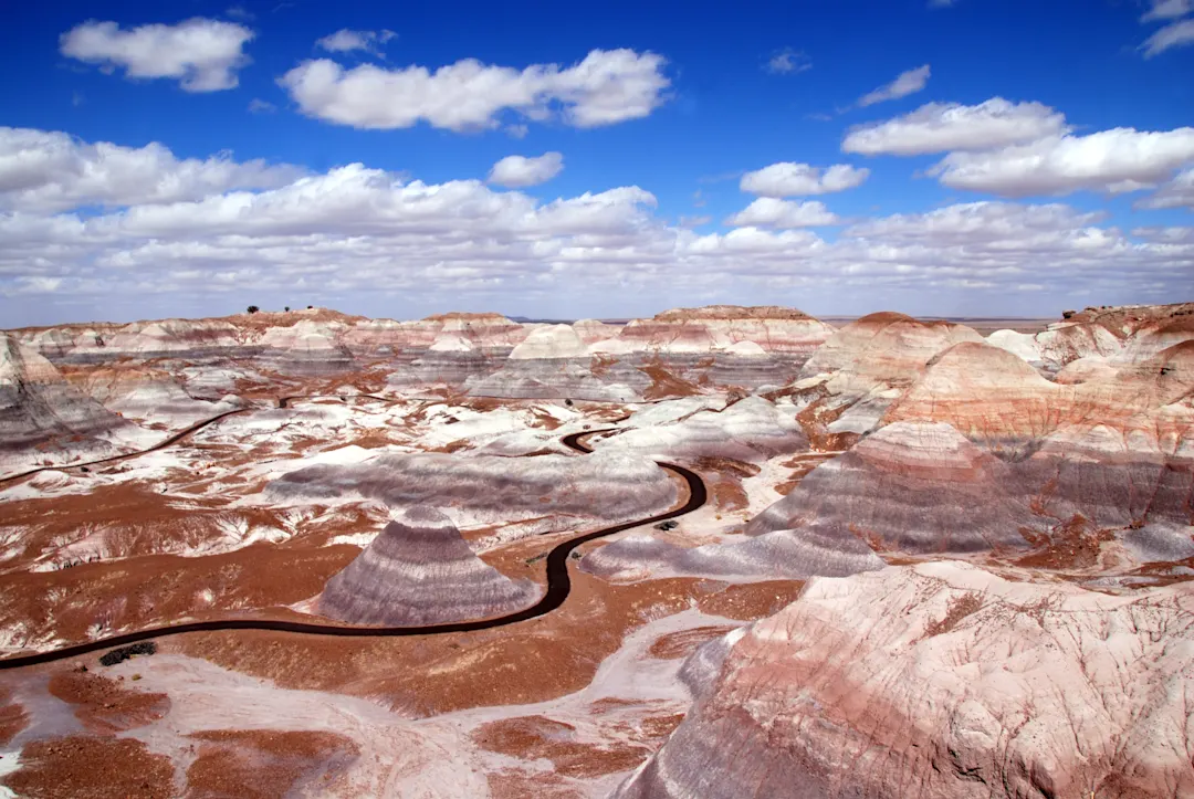 USA Arizona Petrified Forest National Park Versteinerte Wälder und die einzigartige Aussicht auf die Painted Desert in den USA