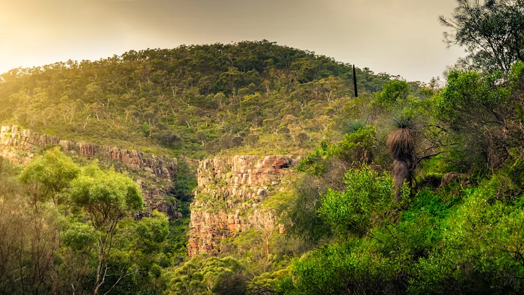 Australien, Adelaide, Morialta Conservation Park Blick auf den Morialta Conservation Park in Adelaide, Südaustralien.