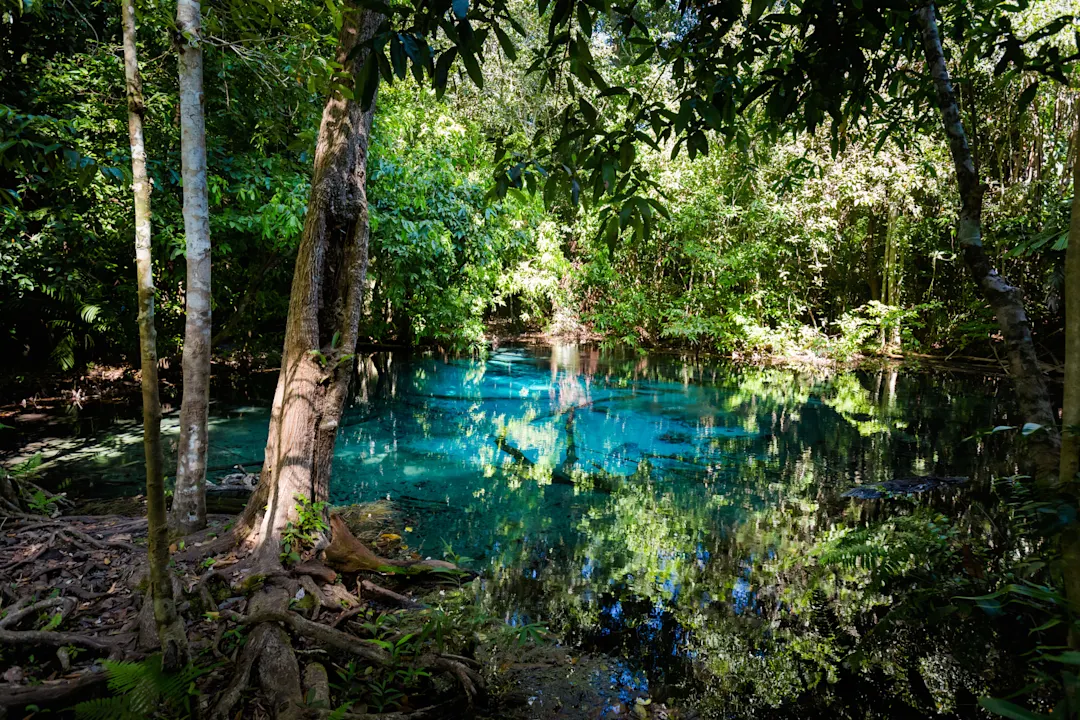 Thung Teao Forest Natural Park, Krabi, Thailand Kristallklares Wasser im Nationalpark