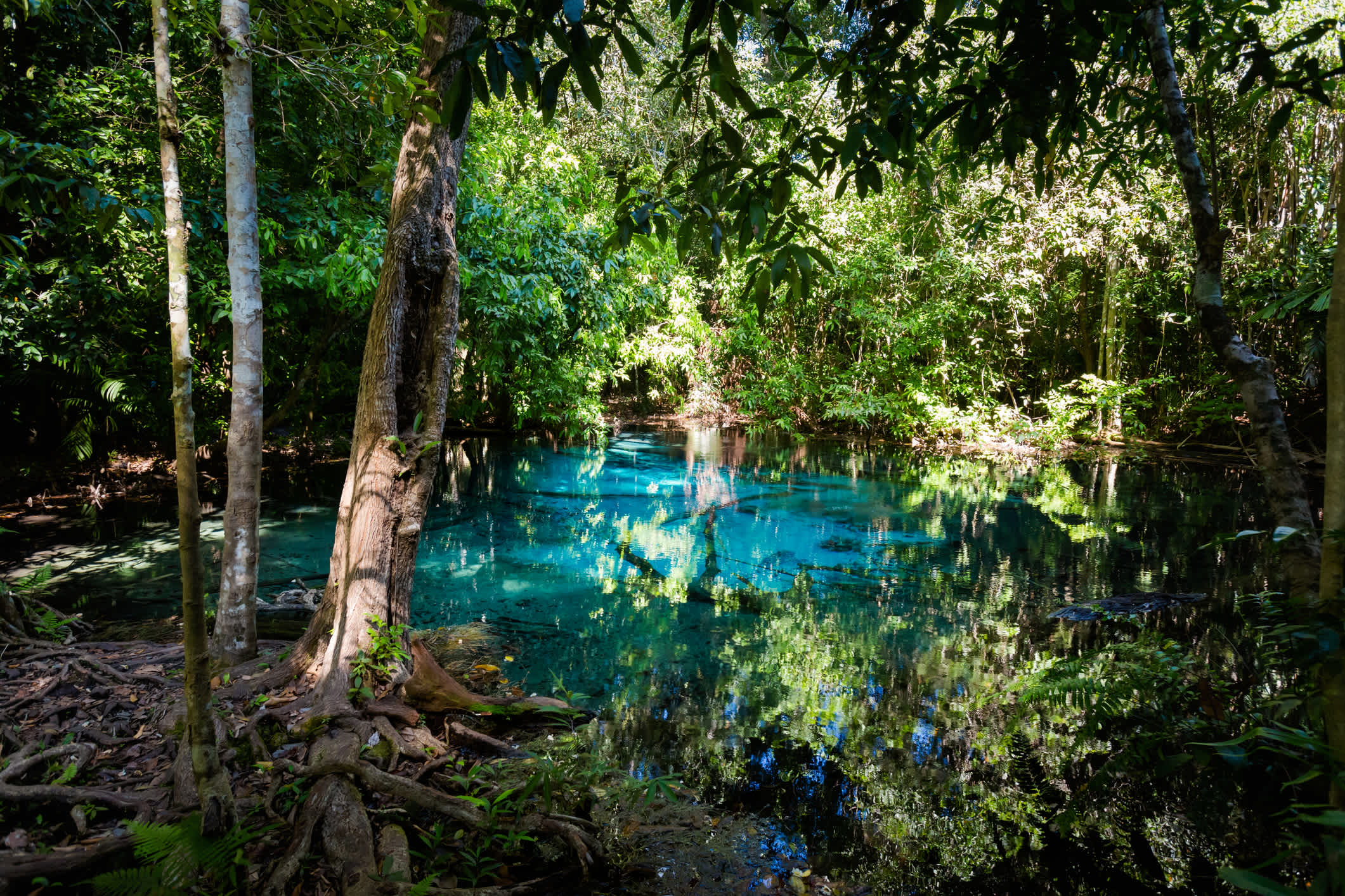 Kristallklares Wasser im Nationalpark