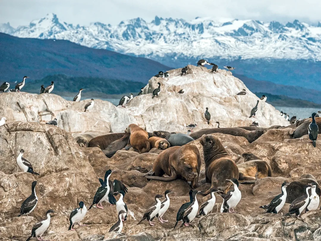 Argentine : une aventure authentique inoubliable 