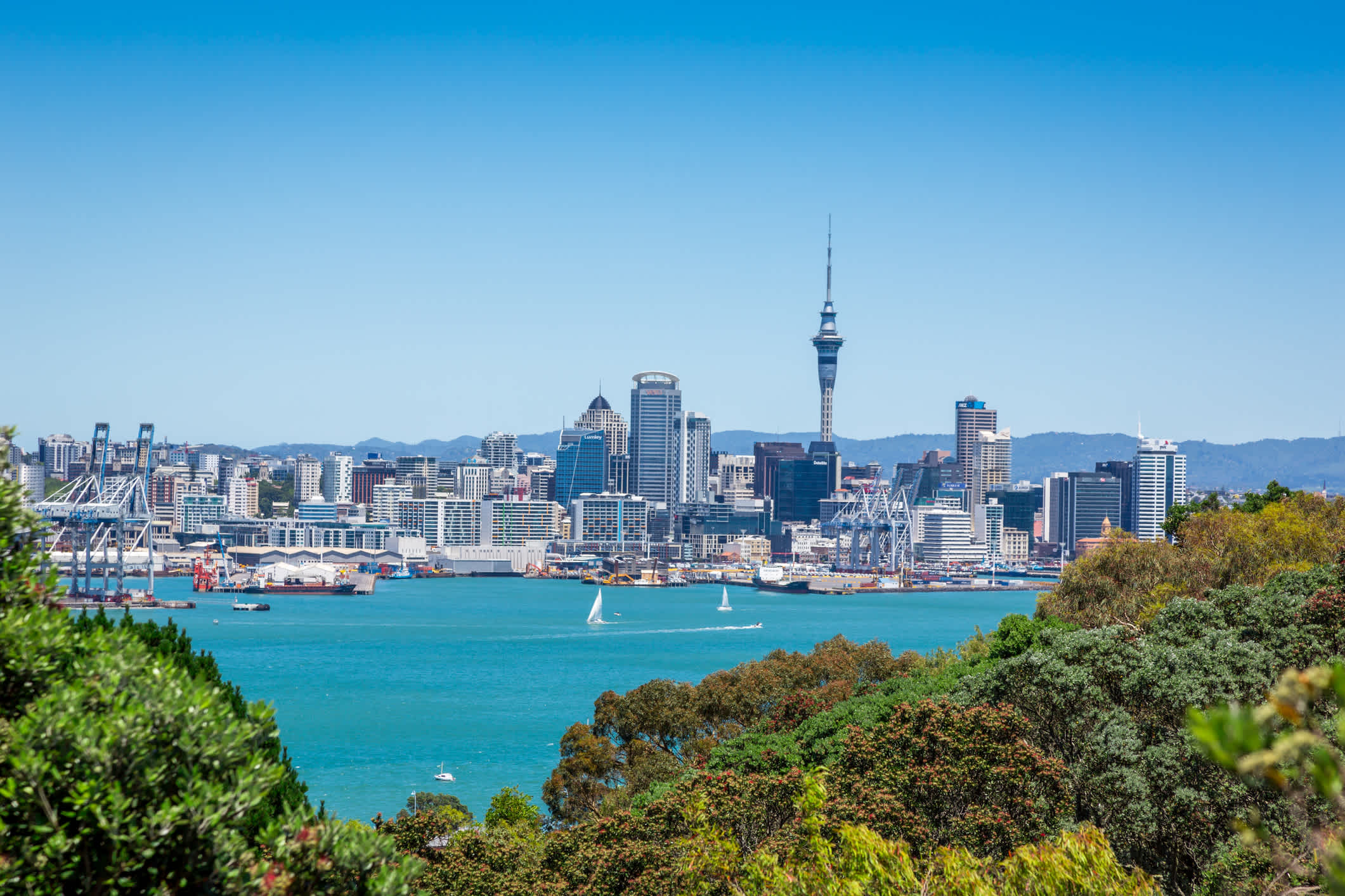 Vue d'Auckland depuis le Devonport, Nouvelle-Zélande