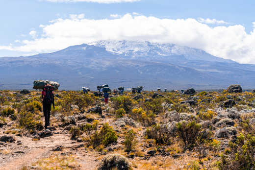 Wanderer auf den Kilimandscharo in Tansania
