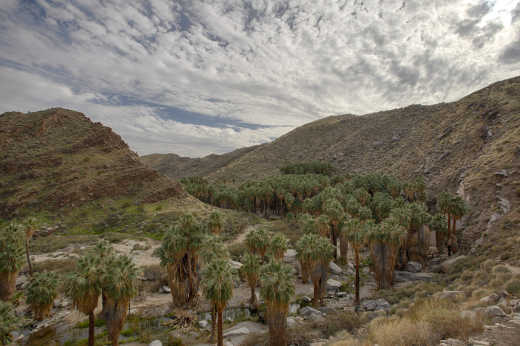 Indian Canyons in Palm Springs