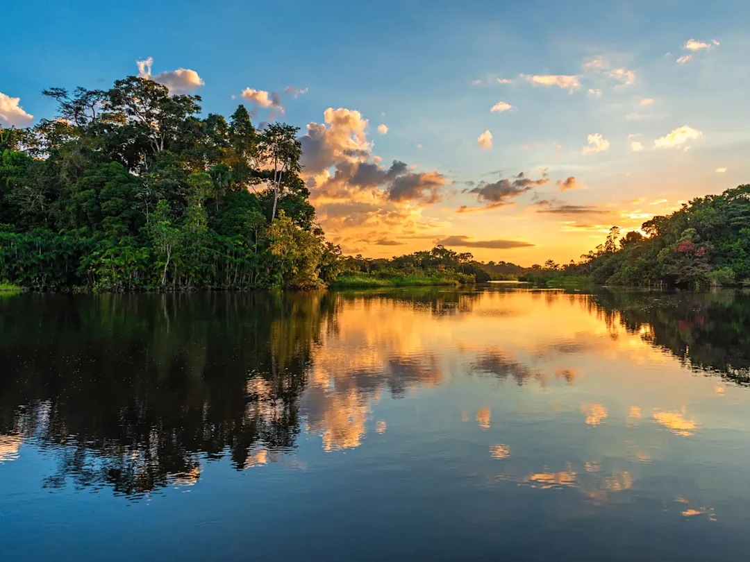 Circuit Amazonie et Colombie : trésors naturels

