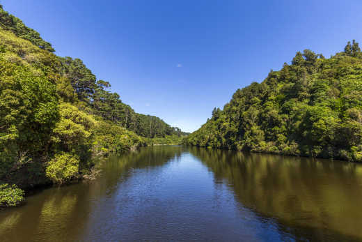 Offrez-vous une pause nature à Zealandia pendant votre voyage à Wellington.