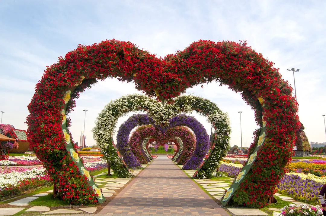 Orient VAE Dubai Miracle Gardens Dubai Miracle Gardens