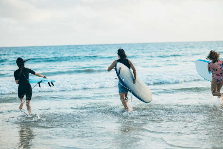 Trois surfeurs se lancent dans les vagues avec leurs planches.