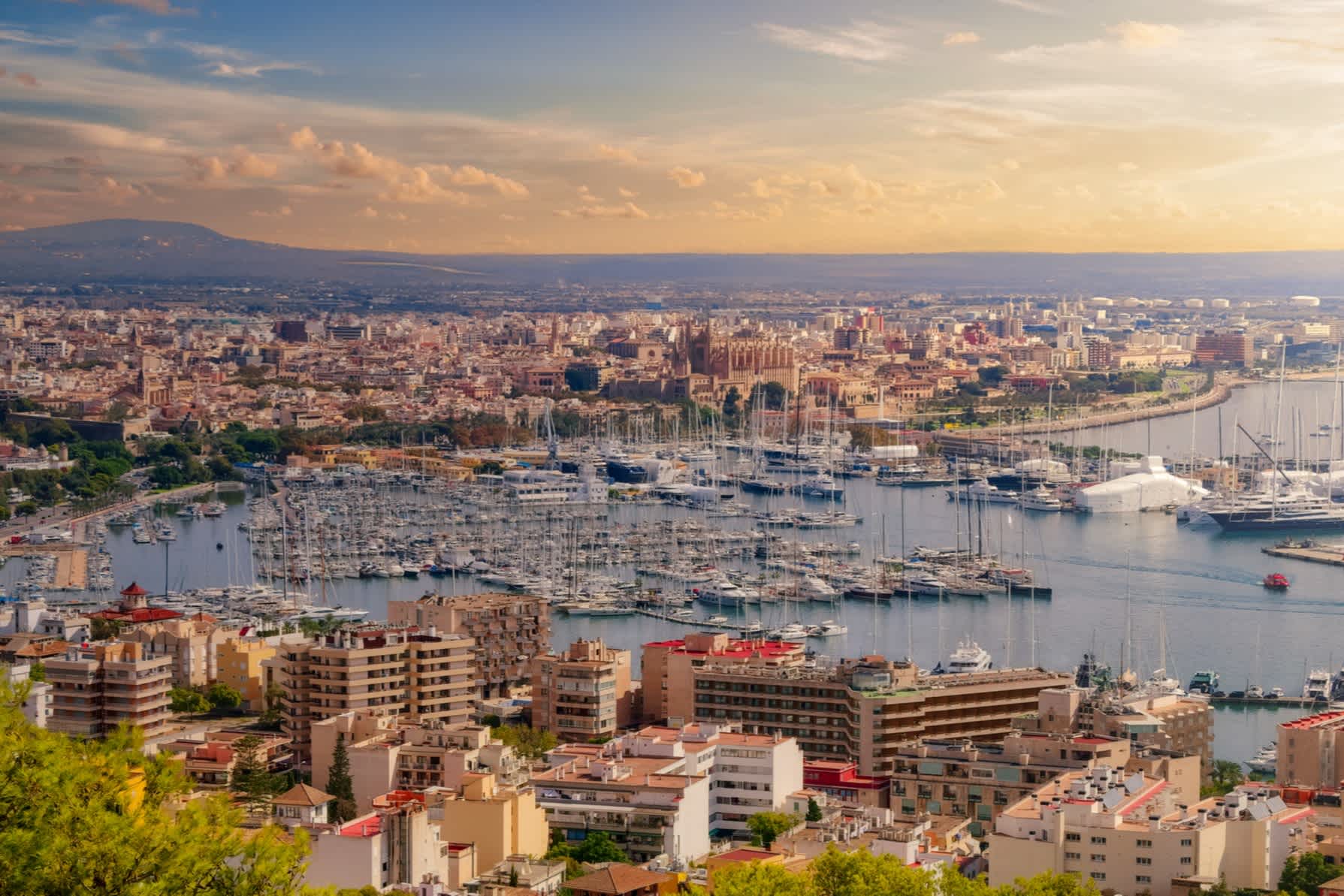 Aufnahme der Skyline von Palma de Mallorca in Spanien