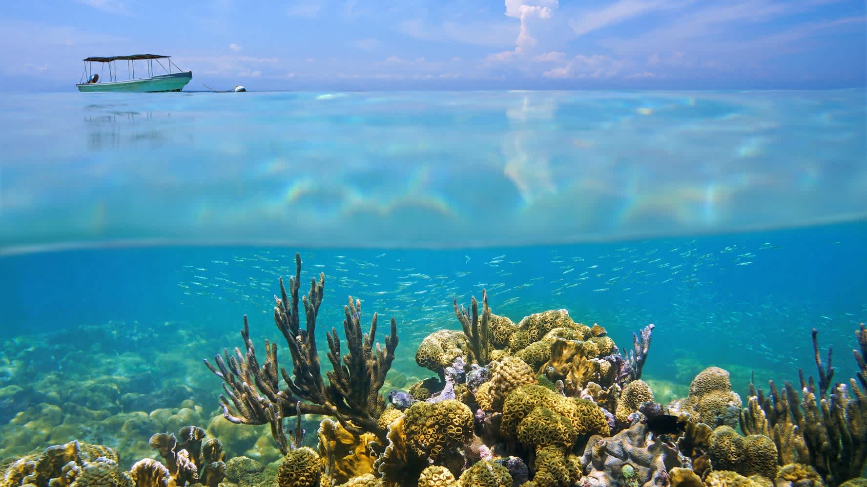 Unterwasserwelt in Kolumbien mit Korallen