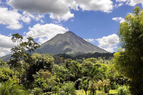 Partez en excursion dans le parc national Arenal entourant le superbe volcan du même nom pendant votre séjour à Arenal.