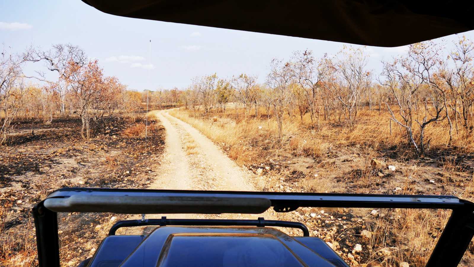 Afrika Selbstfahrer Rundreise Tourlane