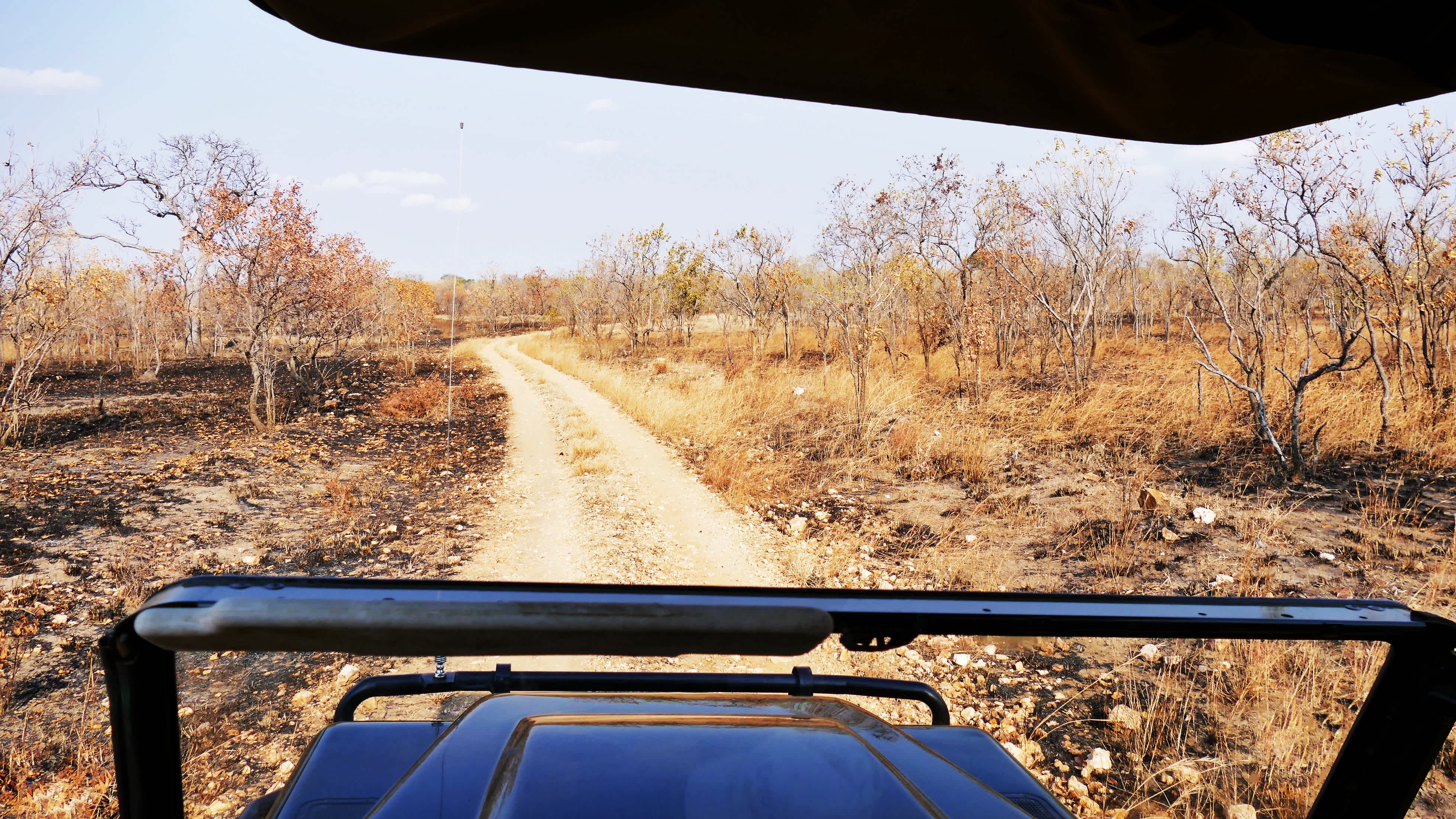 Tansania Mikumi-Nationalpark Sicht aus dem Auto