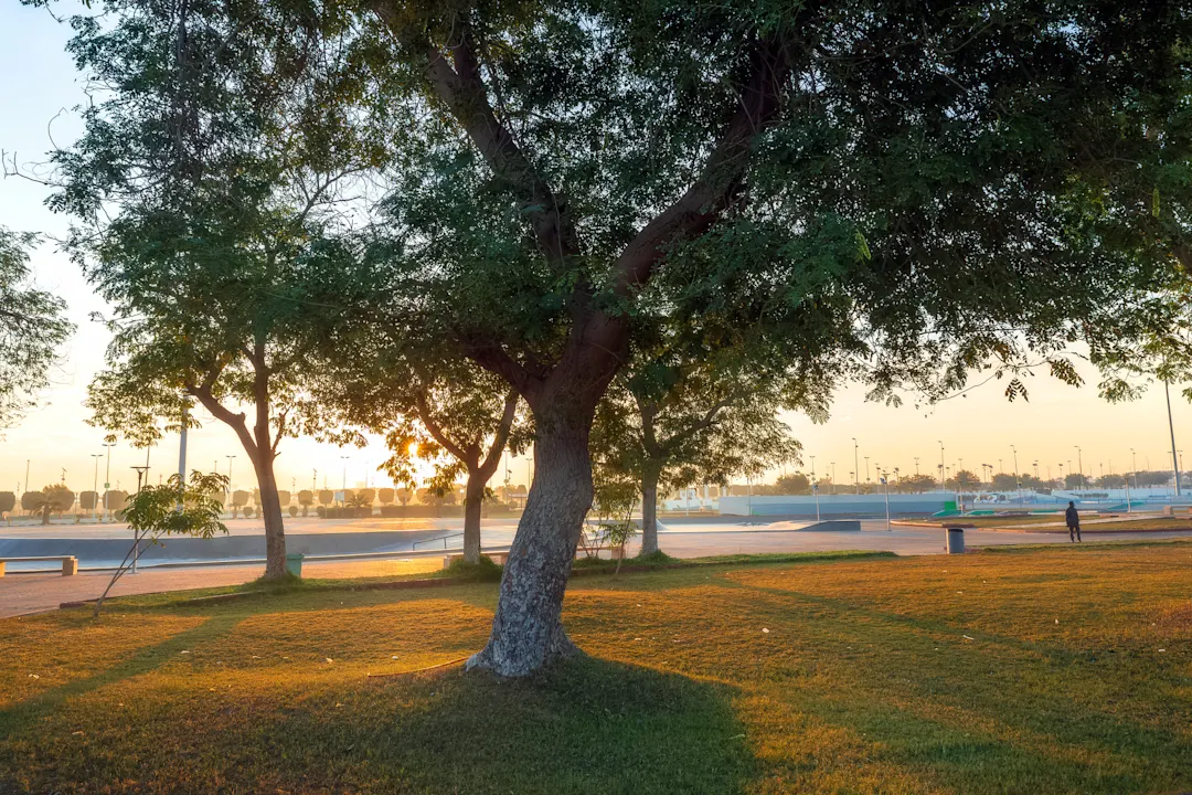 Saudi-Arabien, Dammam Morgenszene im King Fahad Park in Dammam, Saudi-Arabien.