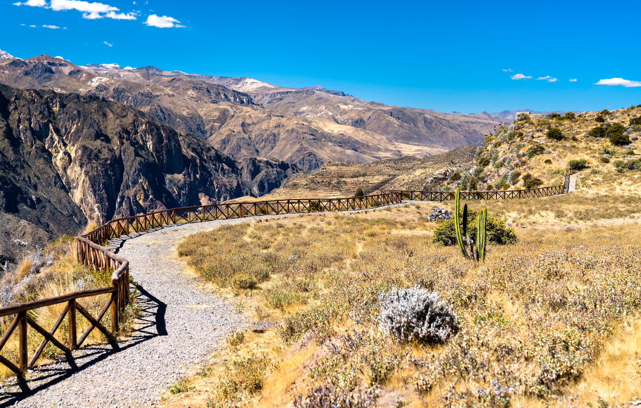 Sentier de randonnée dans la nature aride du canyon de Colca au Pérou