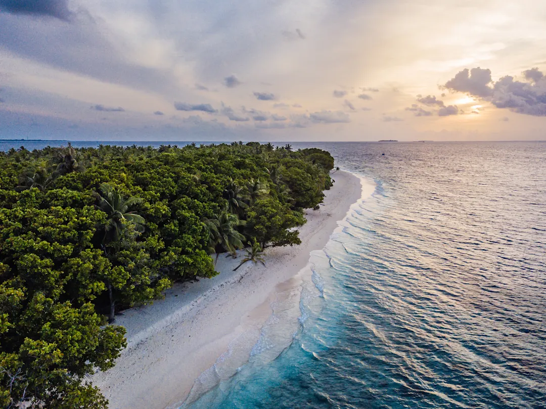 Strand und Wald auf einer Insel der Malediven