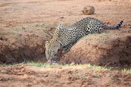 Kenia & Mauritius: Abenteuerträume und tropische Idylle - Image 2