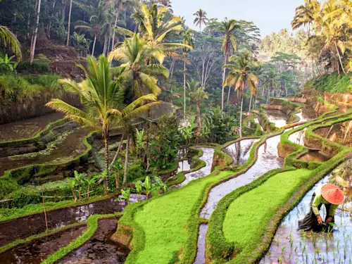 Mit Tourlane in Indonesien - gerne wieder