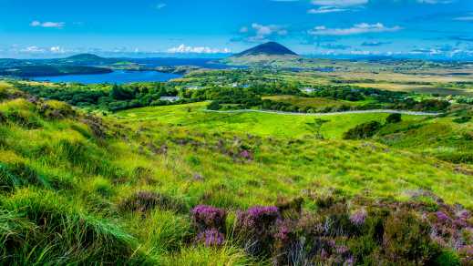 Blick über die Landschaft von Connemara mit Küste am Horizont, Irland