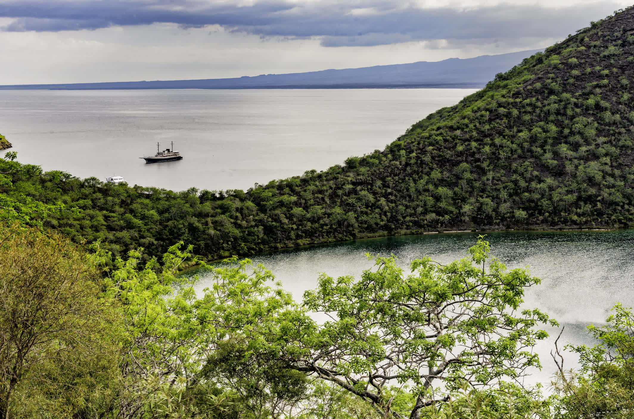 Vue sur le lac Darwin bordé de végétation avec un bateau en arrière-plan, sur l'île d'Isabella, Galapagos, Équateur.
