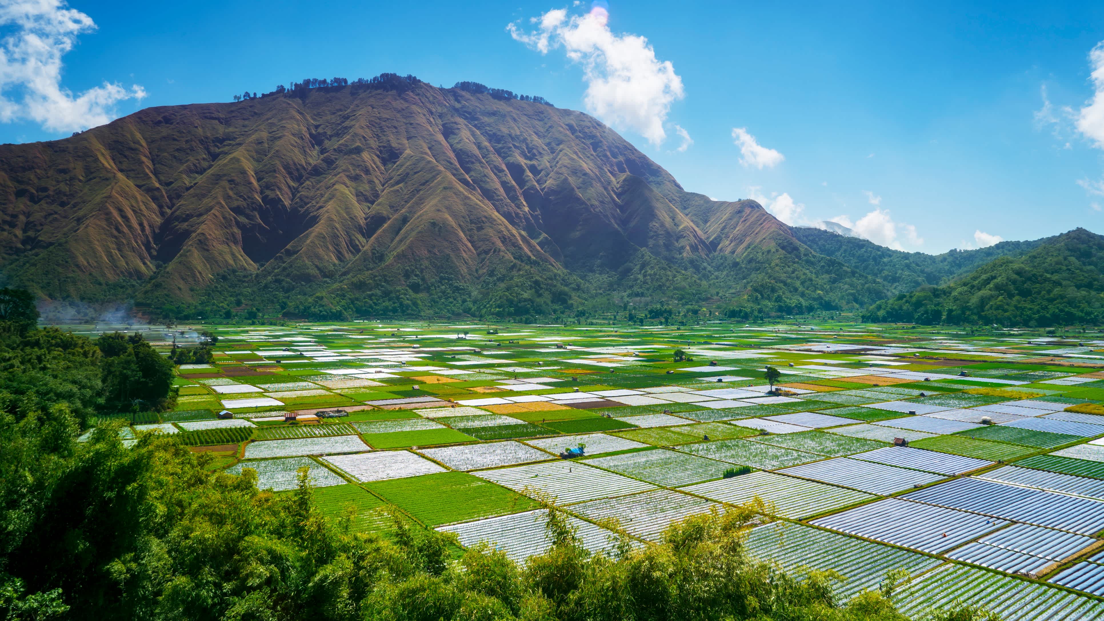 Ackerland am Mount Rinjani auf Lombok, Indonesien