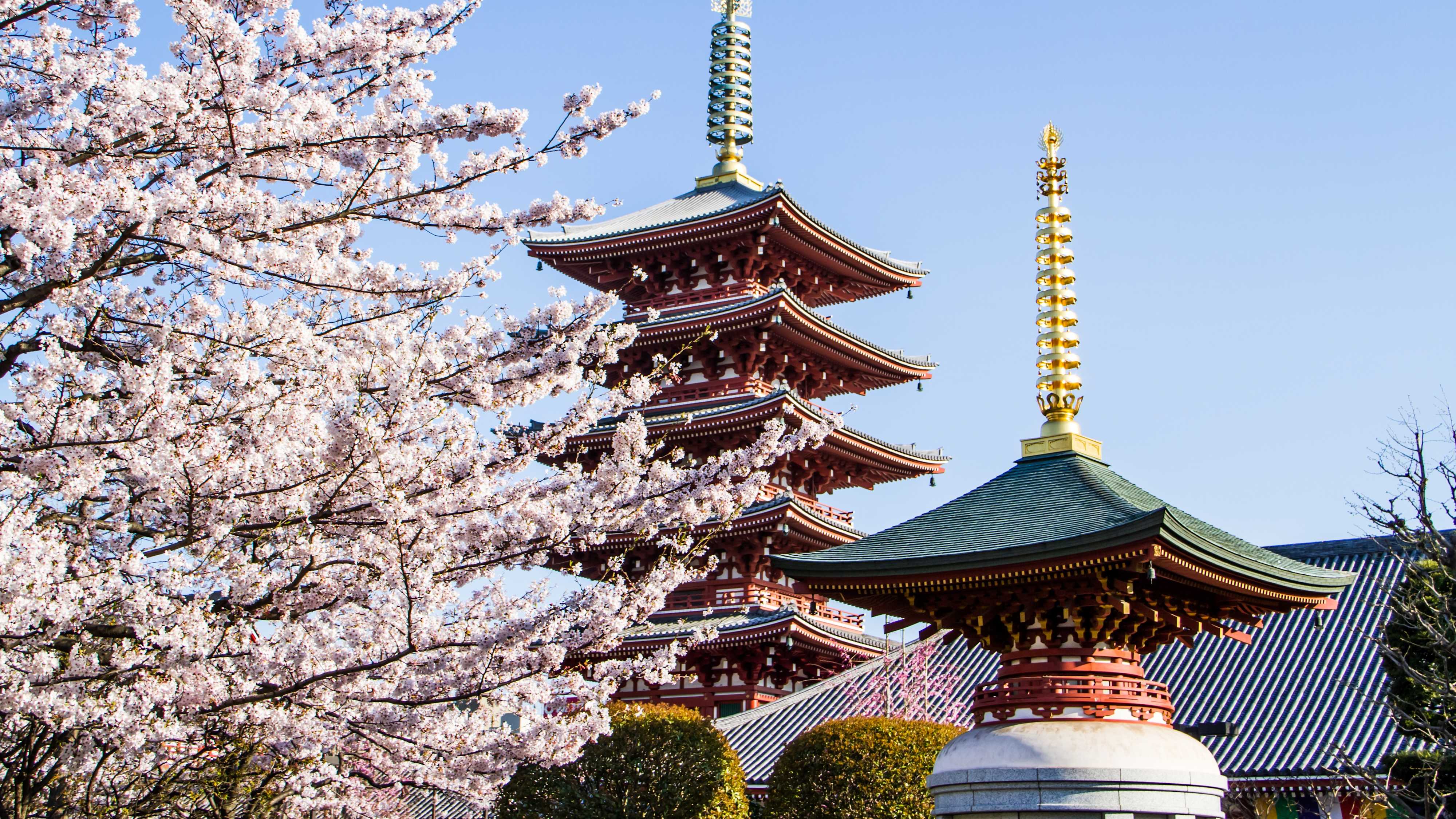 Wissenswertes ber Japan Einreise Sicherheit Tipps Tourlane wissenswertes-ber-japan-einreise-sicherheit-tipps-tourlane