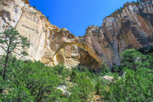 Blick auf das El Malpais National Monument in New Mexico, USA