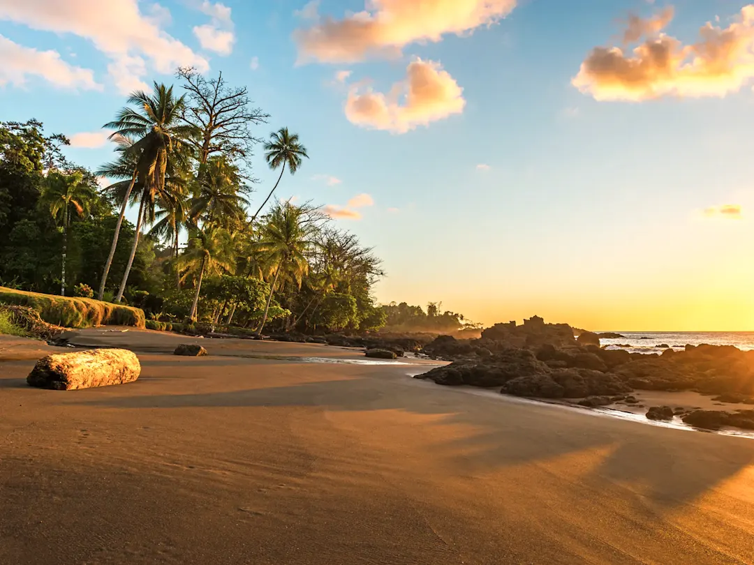 Sandstrand im Sonnenuntergang mit Palmen, Osa, Puntarenas, Costa Rica