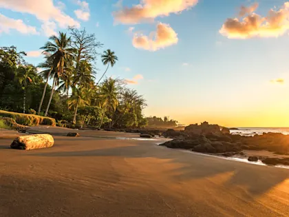 Circuit nature au Costa Rica - Image 1