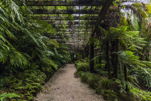 Profitez d'une balade dans le parc Auckland Domain pendant votre voyage à Auckland.