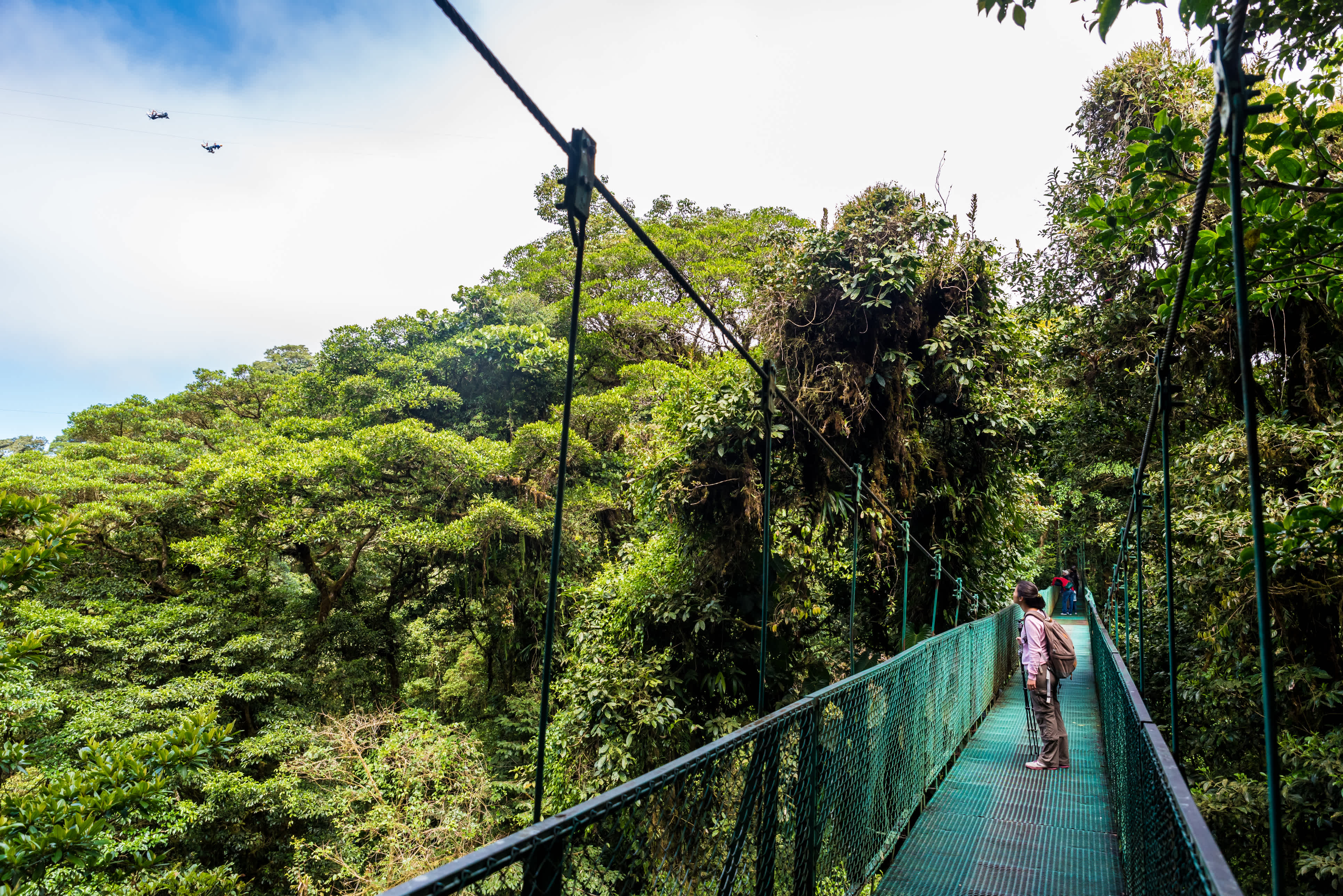 Voyageurs marchant sur un pont suspendu au cœur de la Réserve de Monteverde pendant un voyage au Costa Rica.