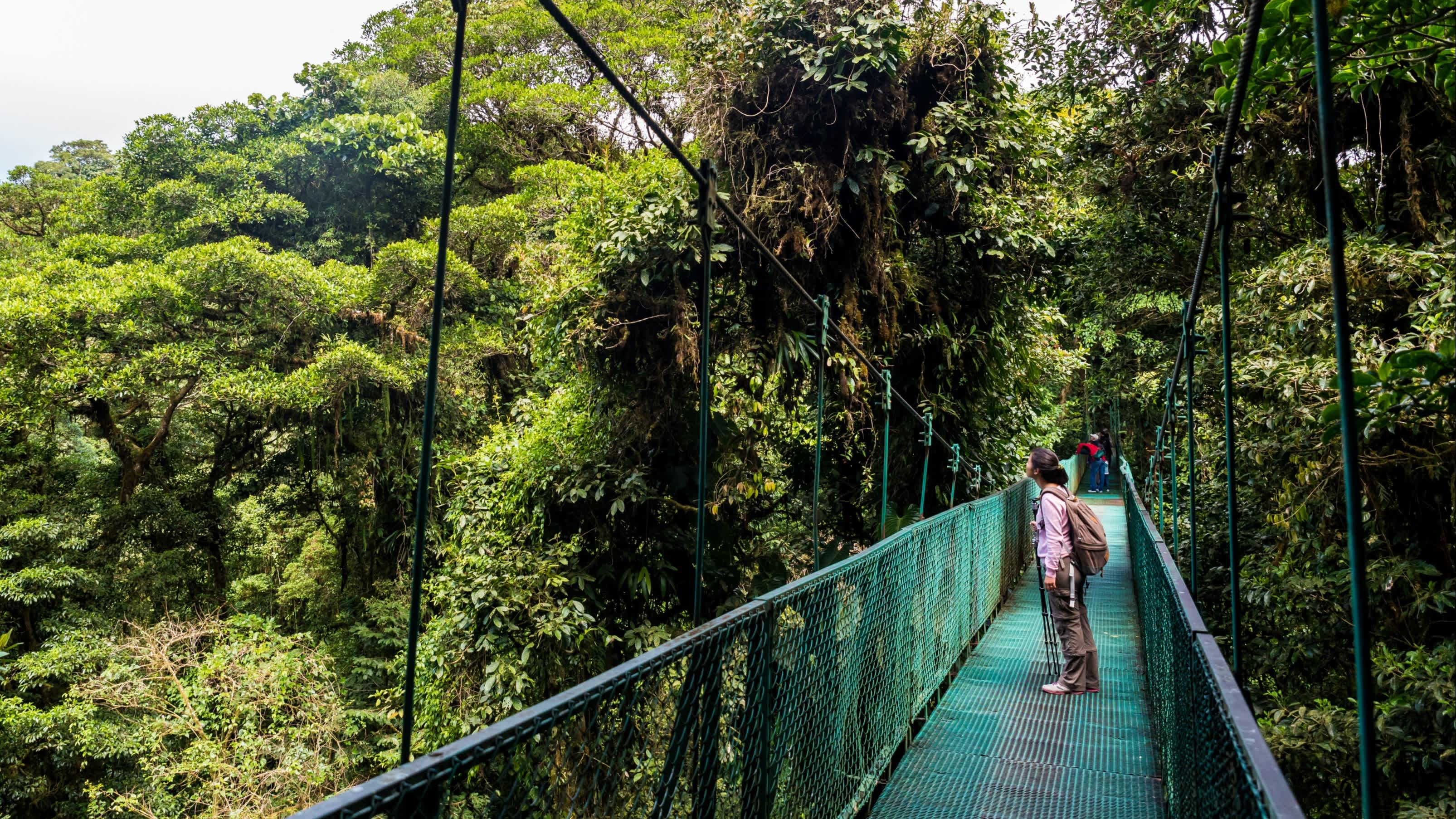 Frau_auf_einer_Hängebrücke_im_Monteverde_Reservat_Costa_Rica