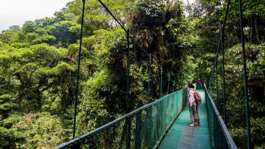 Vrouw_op_een_hangende_brug_in_Monteverde_Reserve_Costa_Rica