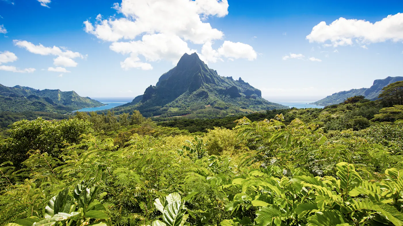 Moorea, Französisch-Polynesien Panoramablick auf die grüne Insel Nuku Hiva mit dem Mont Oave im Hintergrund. Moorea, Französisch-Polynesien.