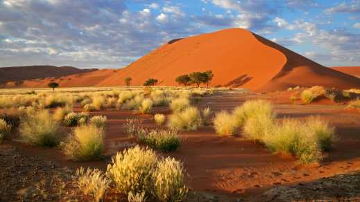 Landschaft mit Wüstengräsern Sossusvlei, Namibia.

