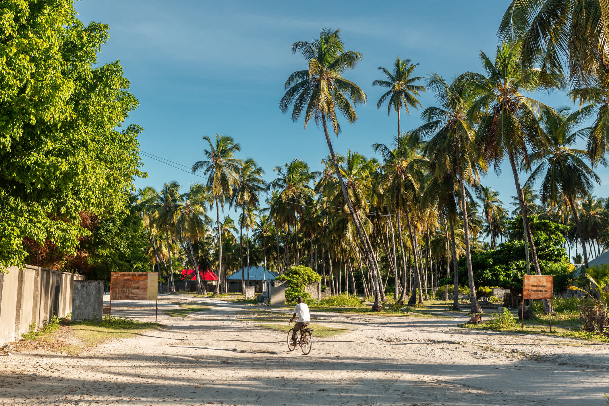 Rue avec palmiers dans la ville de Jambiani, Zanzibar, Tanzanie