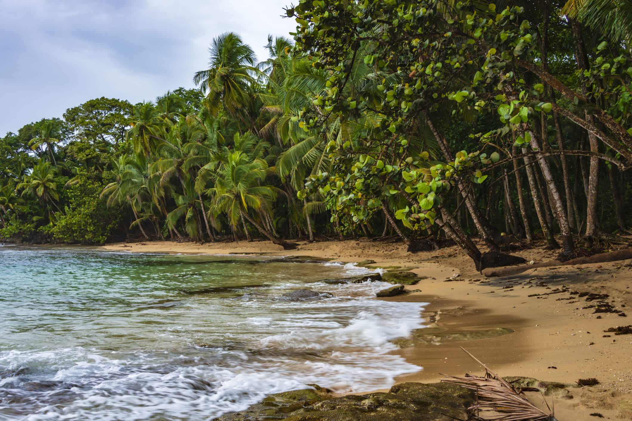 La plage du parc national de Cahuita au Costa Rica.