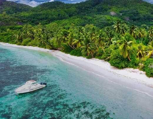 Drohnenaufnahme eines Dockboots in Ufernähe, Palmen und üppiger Vegetation
