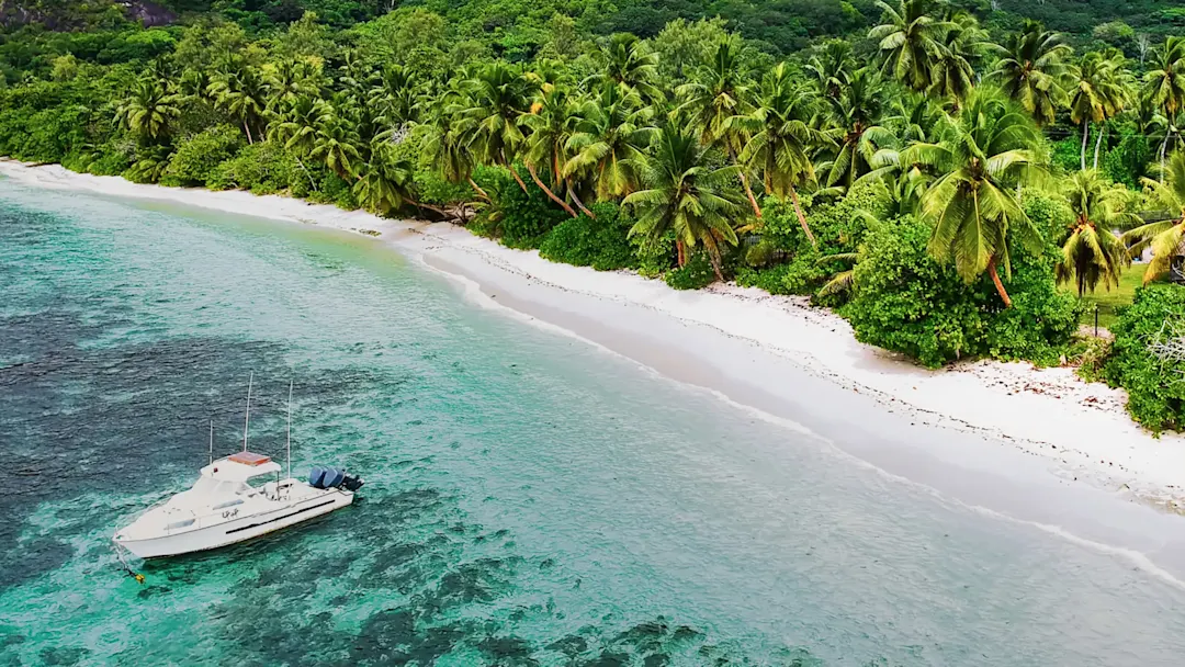 Drohnenaufnahme eines Dockboots in Ufernähe, Palmen und üppiger Vegetation. Bora Bora, Französisch-Polynesien.