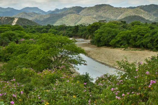 Machalilla Nationaal Park