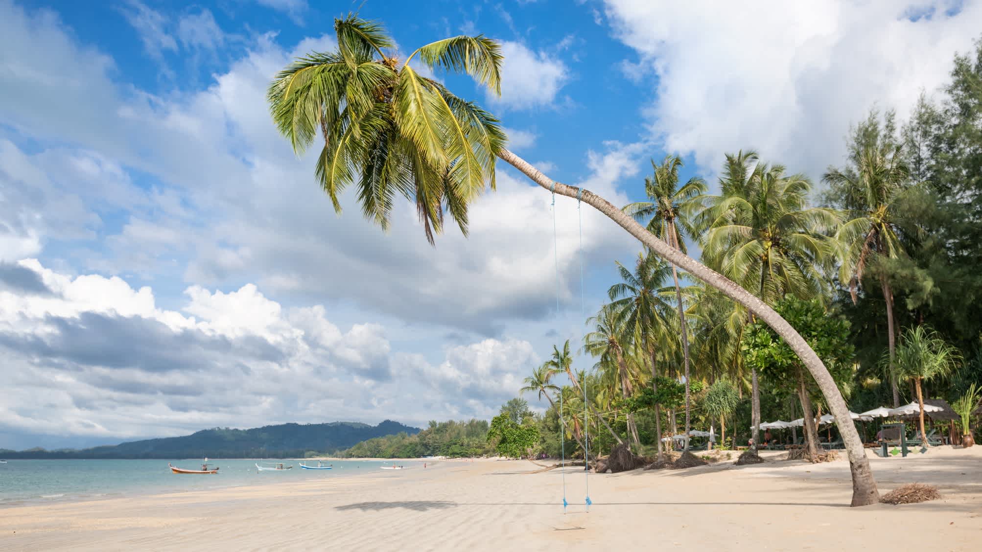 Plage de sable blanc et fin avec palmiers à Khao Lak, en Thaïlande.