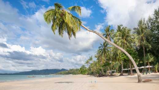 Weißer, feiner Sandstrand mit Palmen in Khao Lak