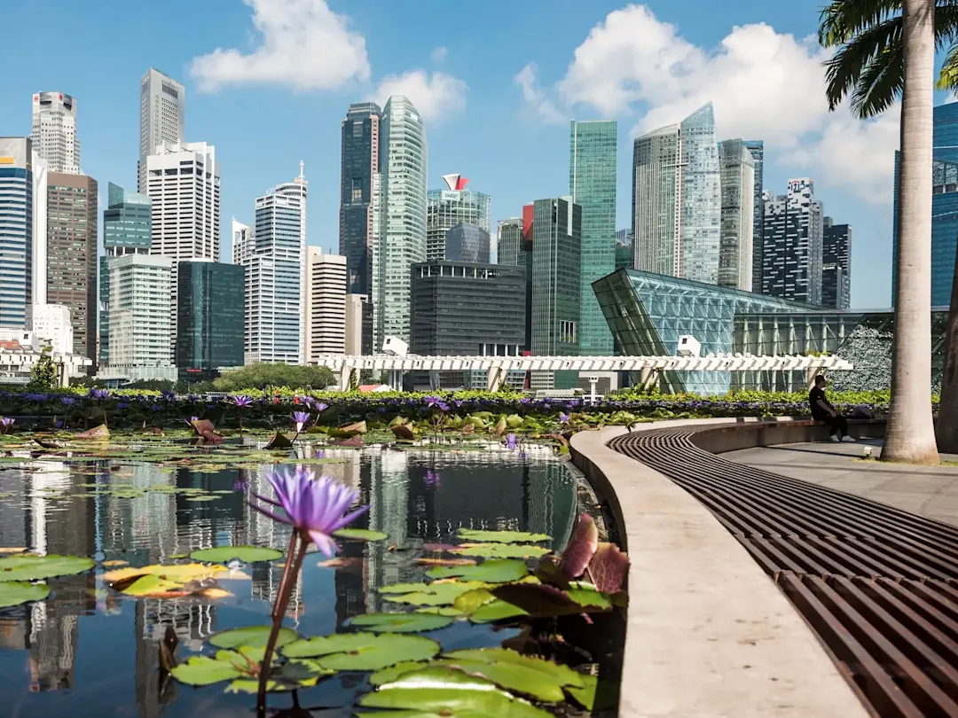 Moderne Skyline mit Wolkenkratzern und Seerosen im Vordergrund. Singapur.