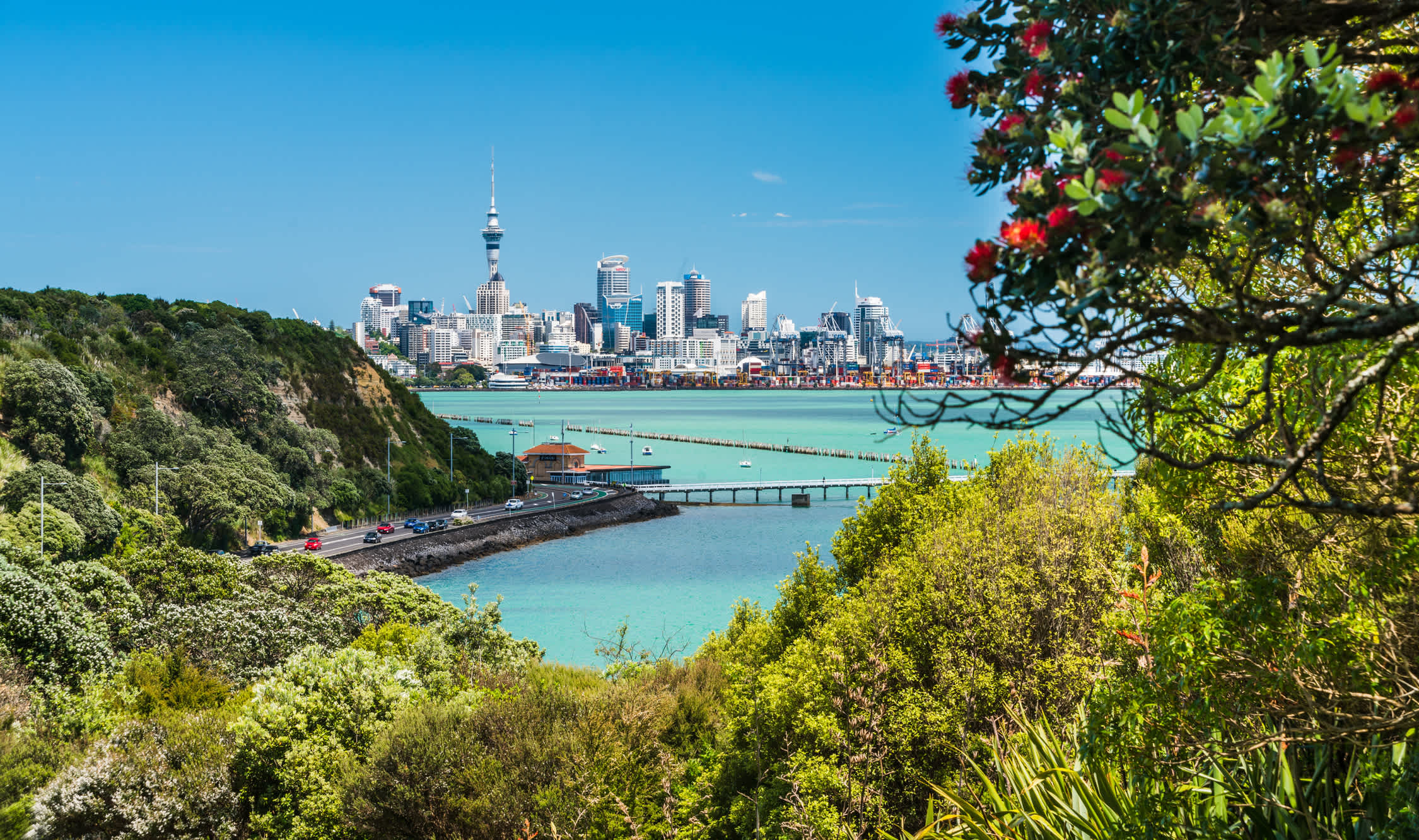 Vue de la ville d'Auckland depuis le Micheal Joseph Savage Memorial Park, sur Tamaki Drive, à Auckland, Nouvelle-Zélande.