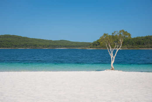 Lac McKenzie à visiter lors d'une excursion à Fraser Island